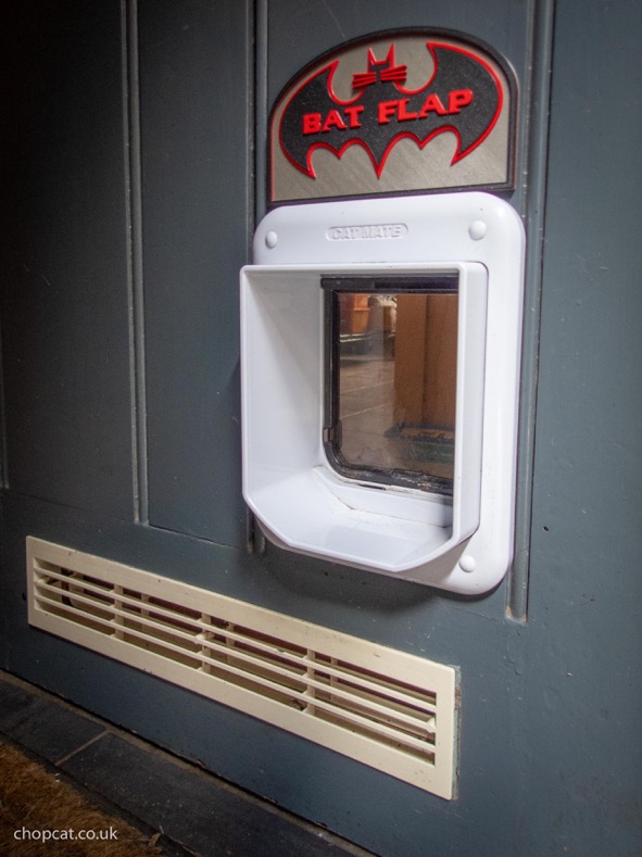 bat flap-2